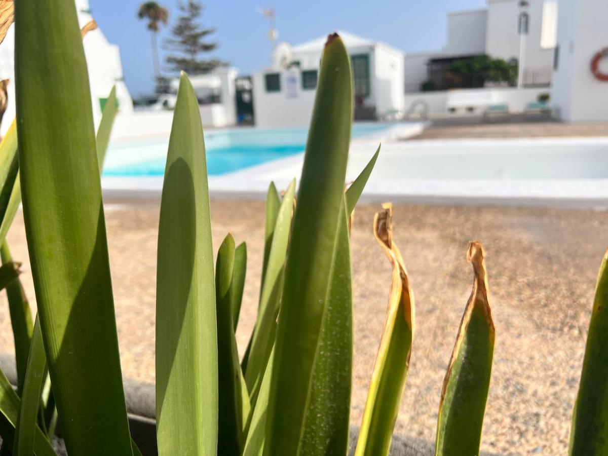 Las Mimosas Beach Sol Пуерто дел Кармен Екстериор снимка